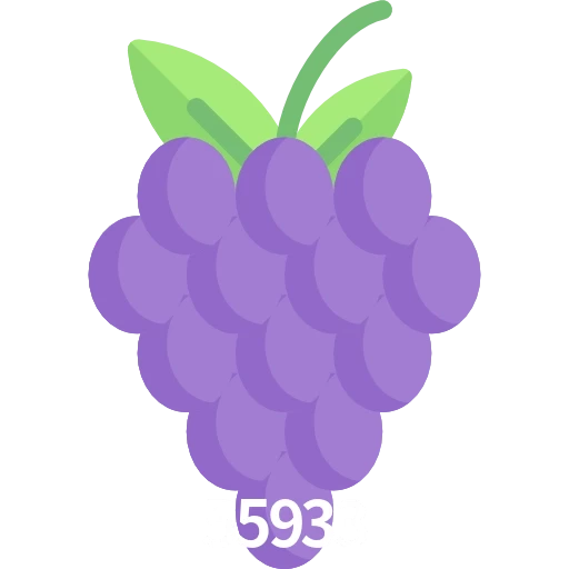 55933
